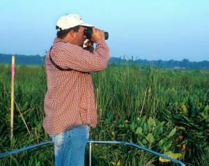 Bart Paxton surveys birds in a wetland patch