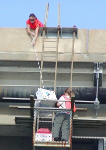 Carla Schneider and Libby Mojica remove peregrine chicks from a Norfolk bridge