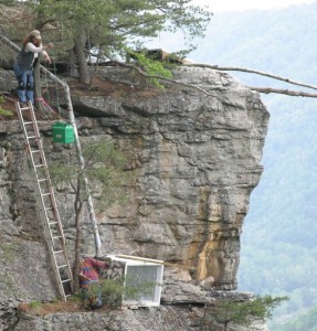 Installation of a new hack box at New River Gorge Nat’l River, WV