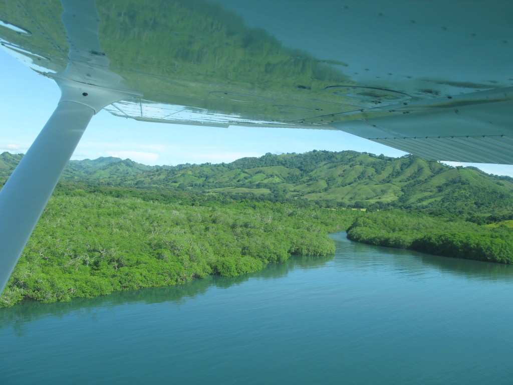 Mangrove-lined estuary along the Pacific coast of Panama