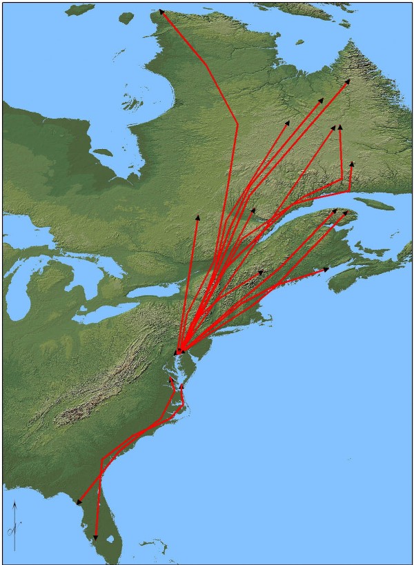 Map of eagle migration paths from point of release 2008