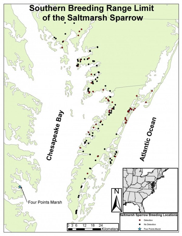 Map of recent marsh-bird surveys completed by the Center for Conservation Biology 2010