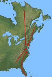 Map showing the convergence pattern of bald eagles on the Chesapeake Bay region