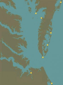 Falcon coastal hack sites