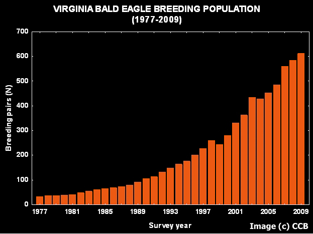 Virginia Bald Eagle Breeding Population 1977-2009