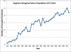 Virginia's Peregrine Falcon Population 1977-2012