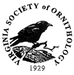 VSO logo