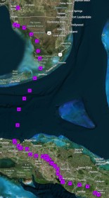 Jett the Osprey migrating through the Florida Keys to Cuba