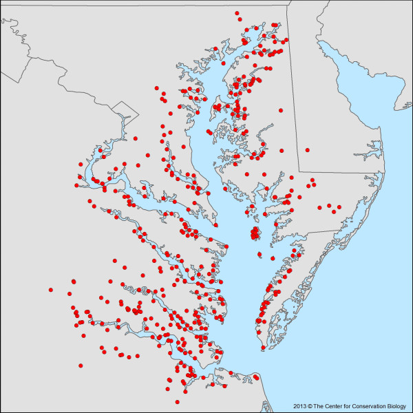 Map of great blue heron and great egret colonies along tidal tributaries of the Chesapeake Bay. Colonies were mapped and surveyed as part of a 2013 population assessment. Map by CCB.