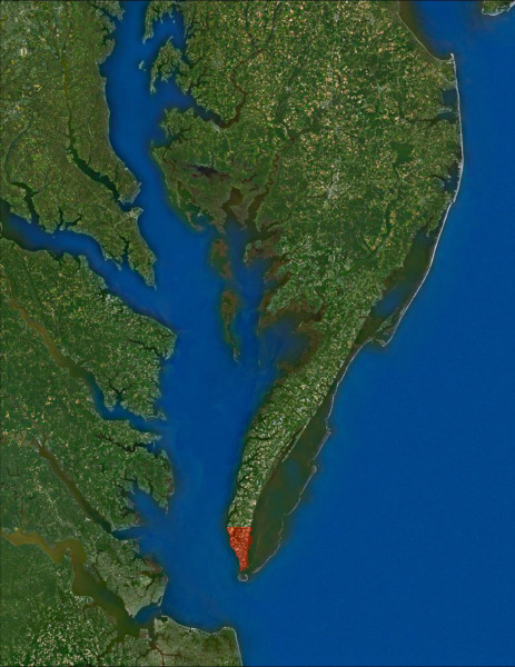Map of the Delmarva Peninsula highlighting the area near the mouth of the Chesapeake Bay where migrants reach their highest density. CCB has conducted a great deal of research within this area focused on guiding conservation efforts. Map by CCB.
