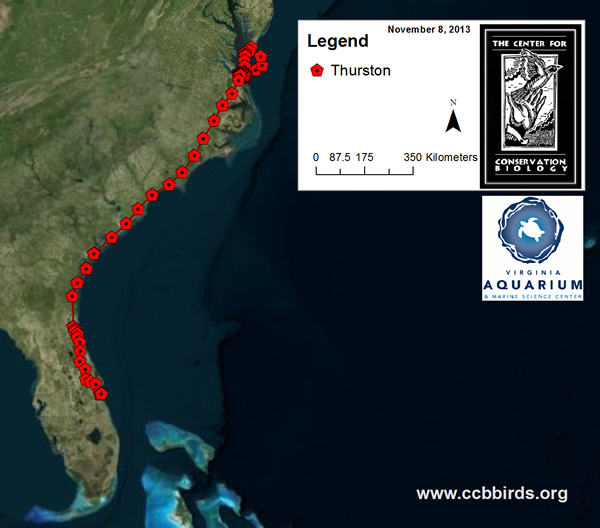 Fall 2013 migration map Thurston