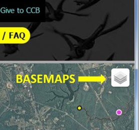 These are the main parts to the CCB Mapping Portal.