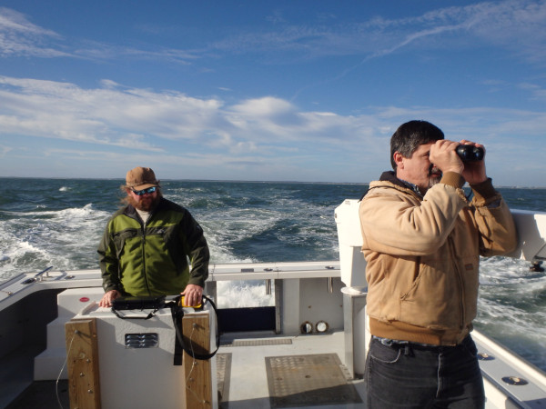 Ned Brinkley (right) surveys seabirds while Fletcher Smith (left) records observations on a GPS-enabled tablet offshore of Virginia Beach. Photo by Zak Poulton.