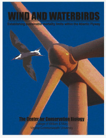 Wind and Waterbirds - Establishing sustainable mortality limits within the Atlantic Flyway Technical Report by CCB.