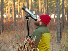 Fletcher Smith searches for foraging woodpeckers in the crowns of loblolly pines. Birds often forage rapidly through the crowns challenging observers to sort out birds and read their color bands. Photo by Bryan Watts.
