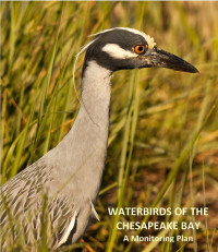 Waterbirds of the Chesapeake: A monitoring plan cover. Photo by Bryan Watts.