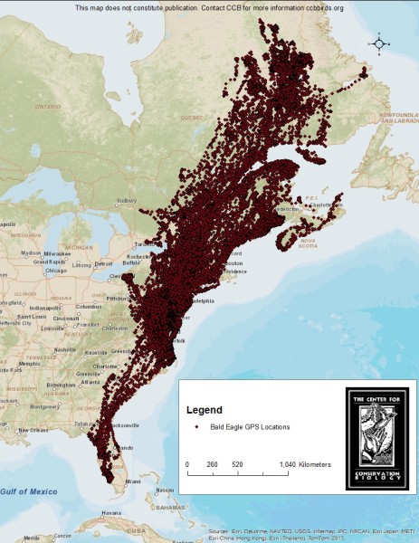 Map of bald eagle locations. Map by CCB.