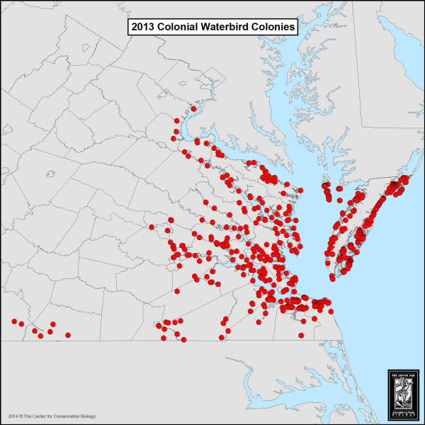 Map of 496 colonial waterbird colonies found and surveyed during the 2013 breeding season. Map by CCB.
