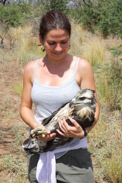 Isabel Luque Romero holds the young eagle on banding day. Photo by Bart Paxton.