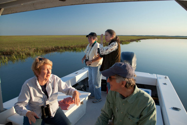 Jane Batten, Talbot Jordan, Roberta Kellam, and Polk Kellam (L to R) talk shorebirds along the edge of Elkins Marsh near Box Tree. Photo by Bryan Watts.