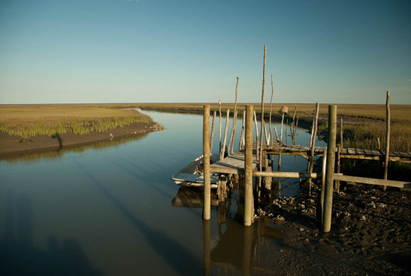 View to the south from Box Tree dock along the lower Delmarva Peninsula. Photo by Bryan Watts.