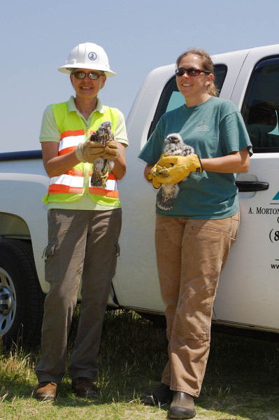 Theresa Tabulenas (left) and Libby Mojica (right) with peregrine brood from the Norris Bridge. Photo by Bart Paxton.