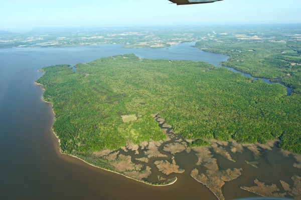 Aerial view of Mason Neck National Wildlife Refuge in spring that now provides an extensive buffer around High Point on the southeast corner (upper left) where Occoquan Creek enters the Potomac. Photo by Bryan Watts.
