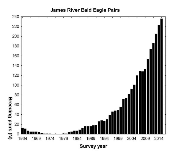 Graph illustrating the history of the bald eagle breeding population along the James River since 1964. Recovery in recent years has been dramatic. Data from The Center for Conserv
