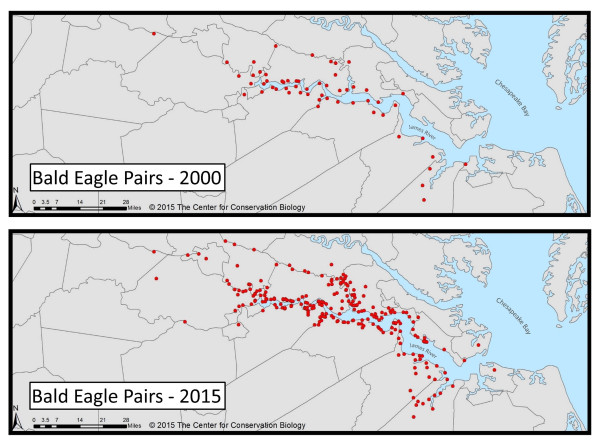 Maps comparing the 2015 population of breeding eagle pairs to that surveyed in 2000. Data from The Center for Conserv