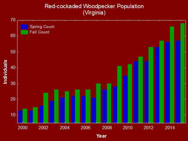 Graph showing the number of red-cockaded woodpeckers resident within the Piney Grove Preserve in Sussex County, Virginia during spring and fall census periods (2000 – 2015). Data from CCB.