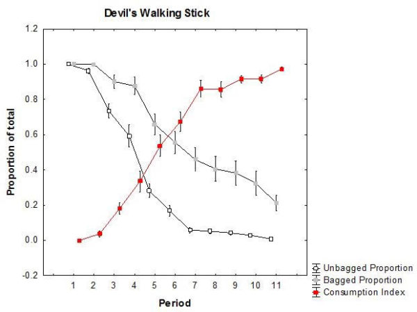 Devil’s walkingstick was a preferred fruit by migrants on the Lower Delmarva Peninsula. Covered and exposed branches diverged over the season and the consumption index ultimately rose to 1. Data from The Center for Conserv