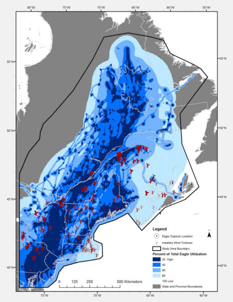 Map of bald eagle migration corridors in the Northeast as determined by CCB biologists using satellite tracking data and Brownian bridge modeling. Data from CCB.