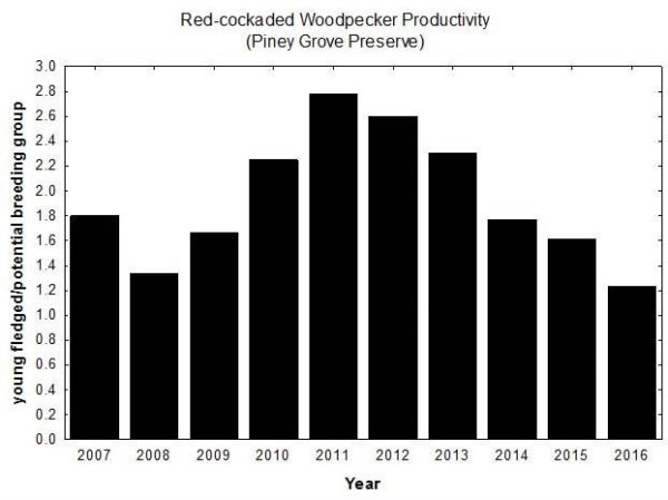 Woodpecker reproductive rates over the past ten years within the Piney Grove Preserve. The 2016 season had the poorest showing in several years. Data from CCB.