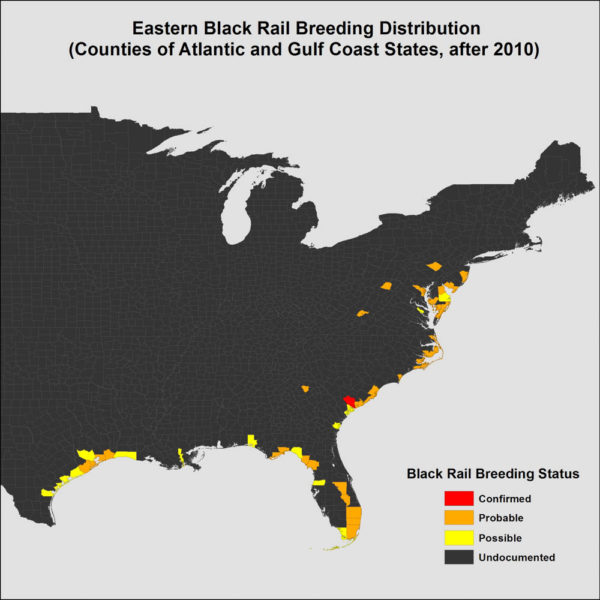 Map of counties with recent (2011-2016) credible records of eastern black rails during the breeding period (1 April through 31 August). Data from CCB.