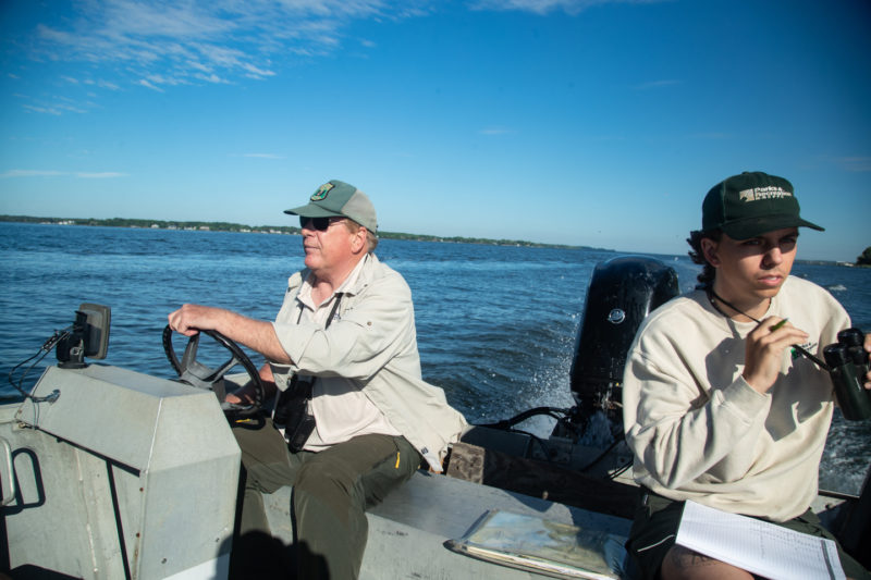Greg Kearns (left) and Alex Pellegrini (right) from the Patuxent River Park out on a survey boat on the Patuxent River. The Patuxent osprey crew helped to monitor pairs within the Lower Patuxent River Study Area during the 2024 field season. Photo by Bryan Watts.