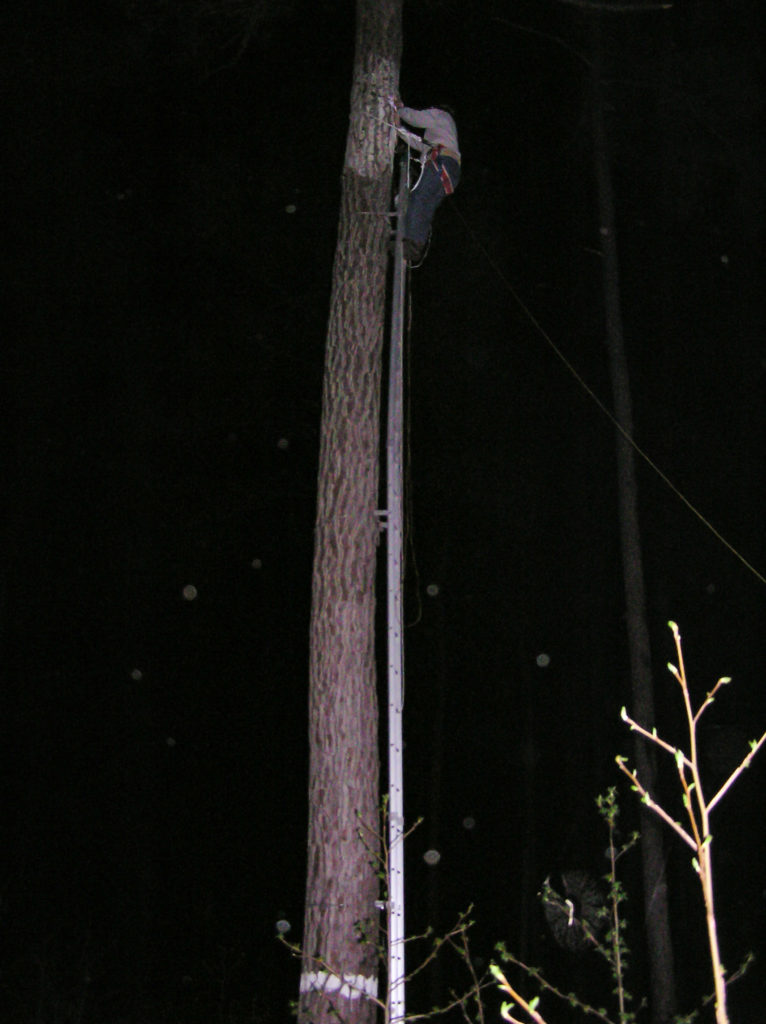Bryan Watts places a woodpecker from Carolina Sandhills National Wildlife Refuge