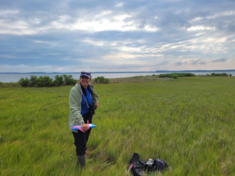 CCB lead field technician, Maddie Was, surveying an island marsh patch during the 2023 survey