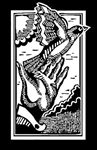 The Center for Conservation Biology logo