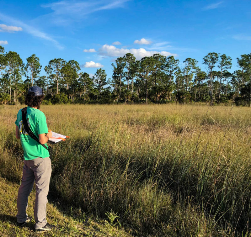 Chance Hines conducts a playback survey of one point within the network of survey points in South Florida.