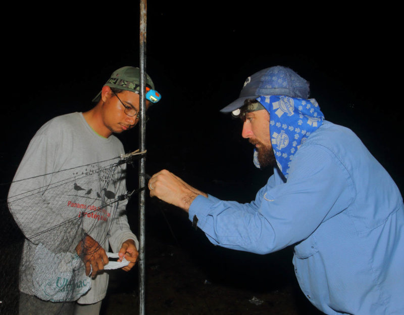 Chance Hines instructs Christian Torres setting up most nets for capturing small shorebirds.