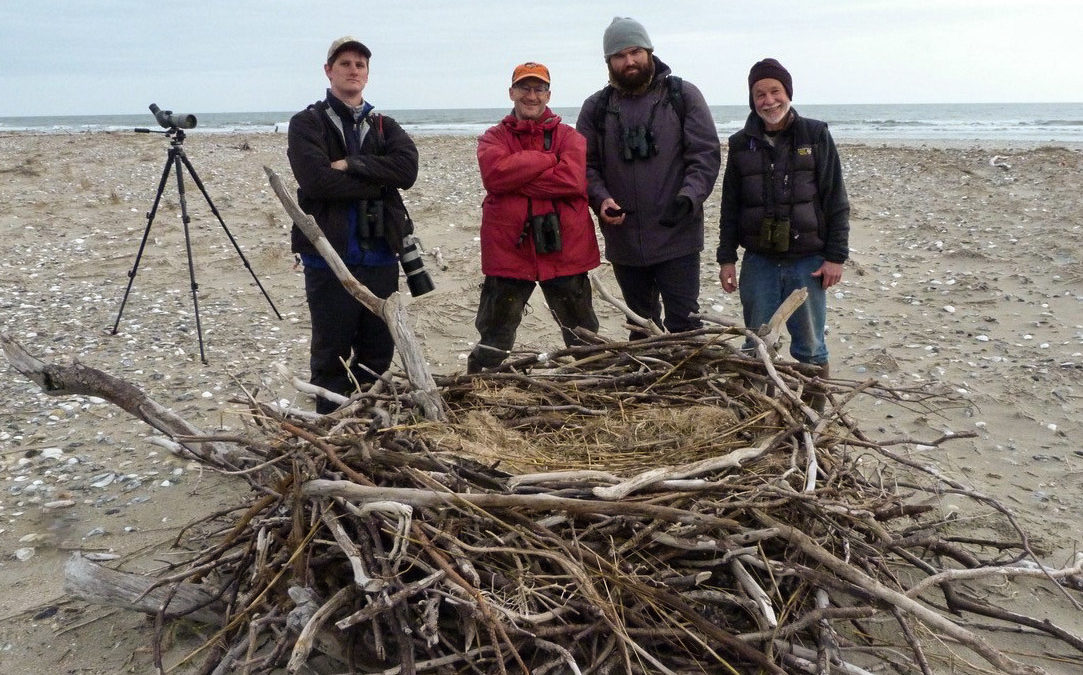 Christmas Bird Count crew pose with a new eagle nest on the north end of Smith island