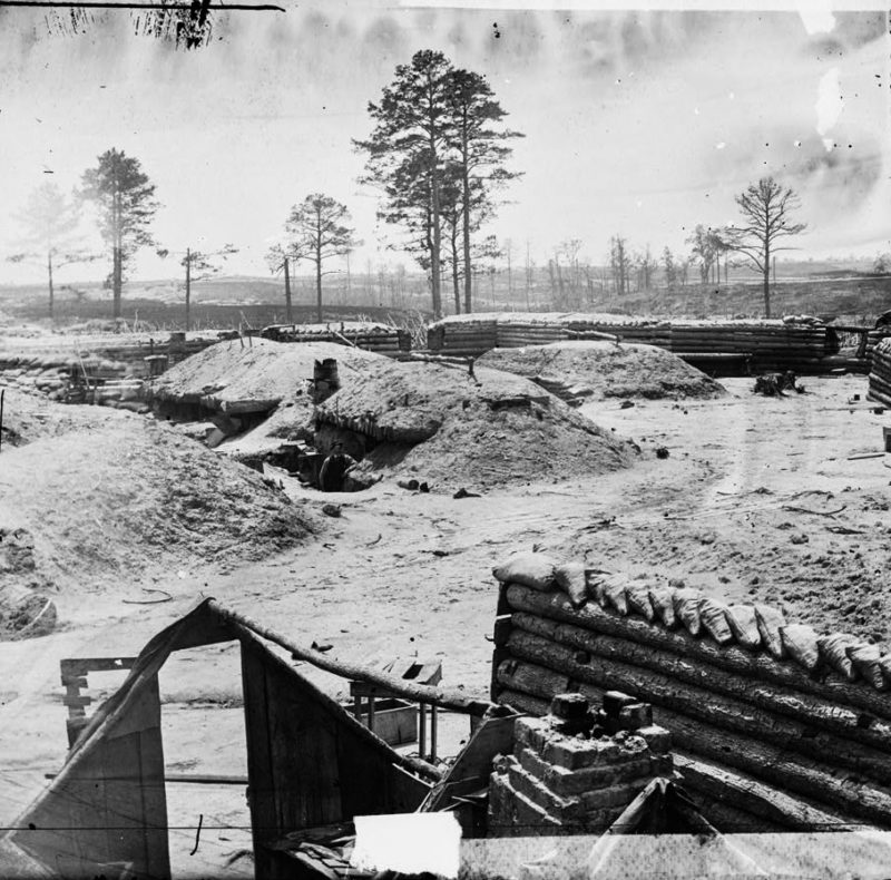 Civil War scene at Petersburg Battlefield showing scattered survivor trees.