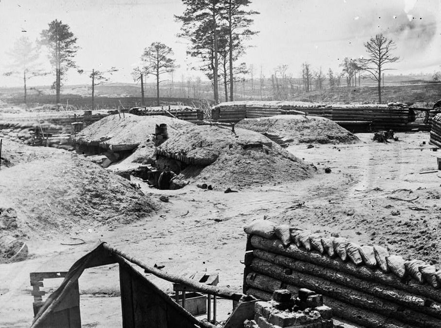 Civil War scene at Petersburg Battlefield showing scattered survivor trees.