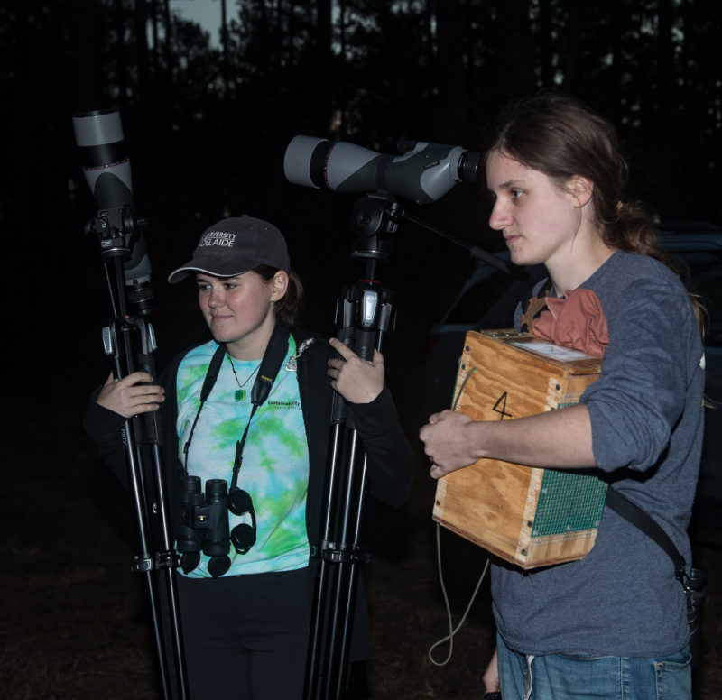 Courtney Check holds a woodpecker in a transport box while Erin Eichenberger carries spotting scopes.