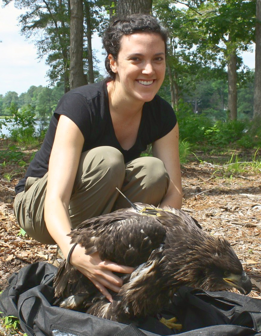 Courtney Turrin with transmittered Bald Eagle
