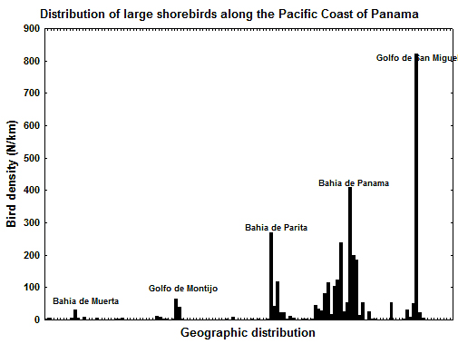 Distribution of large shorebirds along the Pacific Coast of Panama.