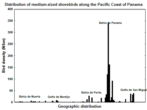 Distribution of medium-sized shorebirds along the Pacific Coast of Panama.