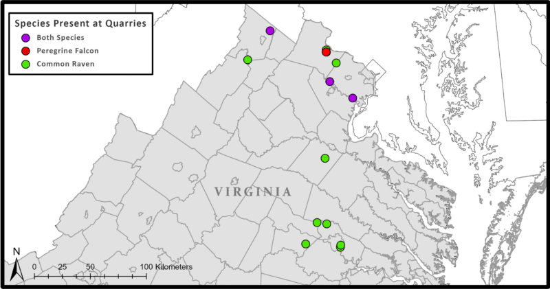 Distribution of quarries surveyed during the 2022