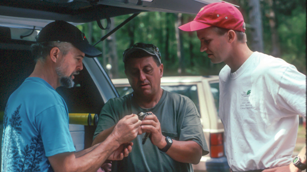 Don Schwab, Rick Barnett  and Brian VanEerden feed a cricket to a woodpecker