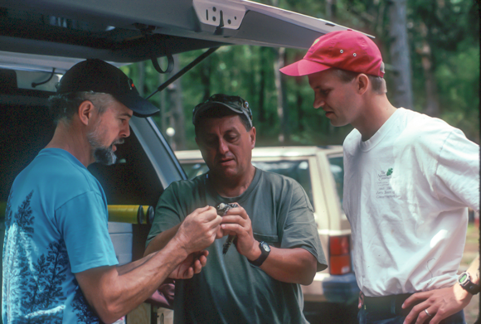Don Schwab, Rick Barnett  and Brian VanEerden feed a cricket to a woodpecker